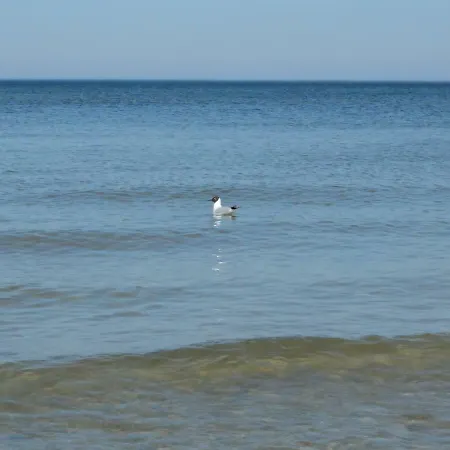 Apartament 33balticblue Pogorzelica (Gmina Rewal)